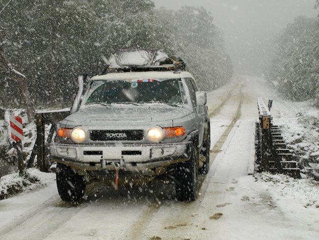 ../../Pictures/231209/098 eine der vier Jahreszeiten.JPG